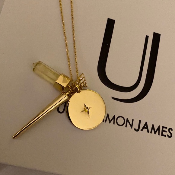 Uncommon James Charms & Silver Star Necklaces + Strawberry Fields Earrings - Picture 3 of 11